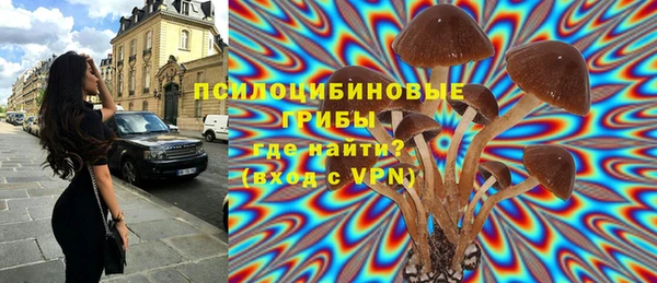 дурь Белокуриха