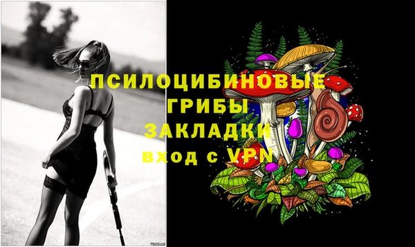 дурь Белокуриха