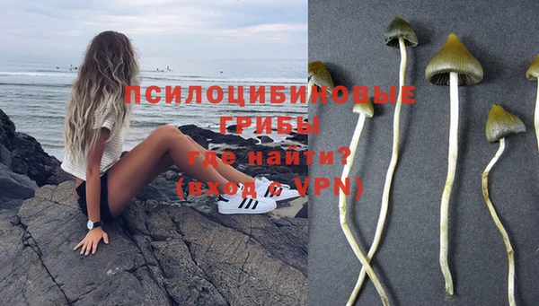 MDMA Беломорск